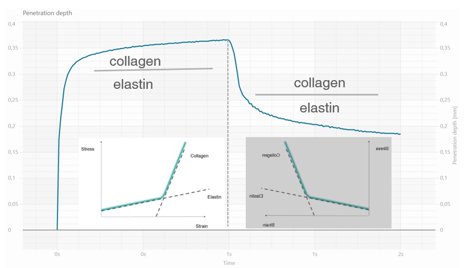 Cutometer® collagen vs elastin