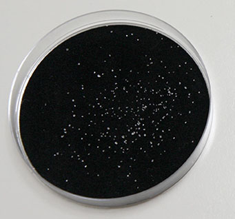 DandruffMeter - collect dandruff in a petri dish